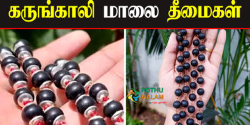 Karungali Malai Theemaigal in Tamil