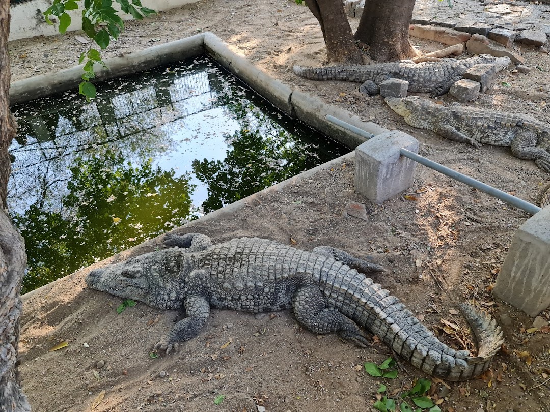 hogenakkal crocodile park in tamil 