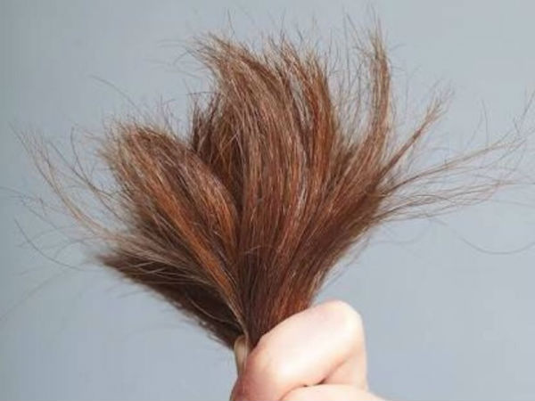 rabbit blood hair oil benefits for hair growth in tamil