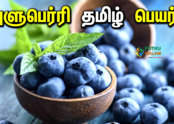 Blueberry in Tamil Name
