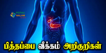 Piththa Pai Veekam Symptoms in Tamil