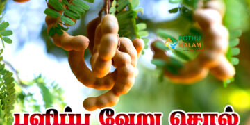 Pulippu Veru Sol in Tamil