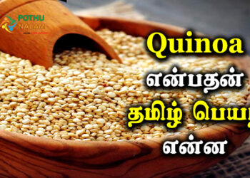 Quinoa in Tamil Name