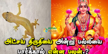 what is the benefit of seeing a lizard on akshaya tritiya in tamil